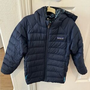 Blue Toddler Padagonia Jacket